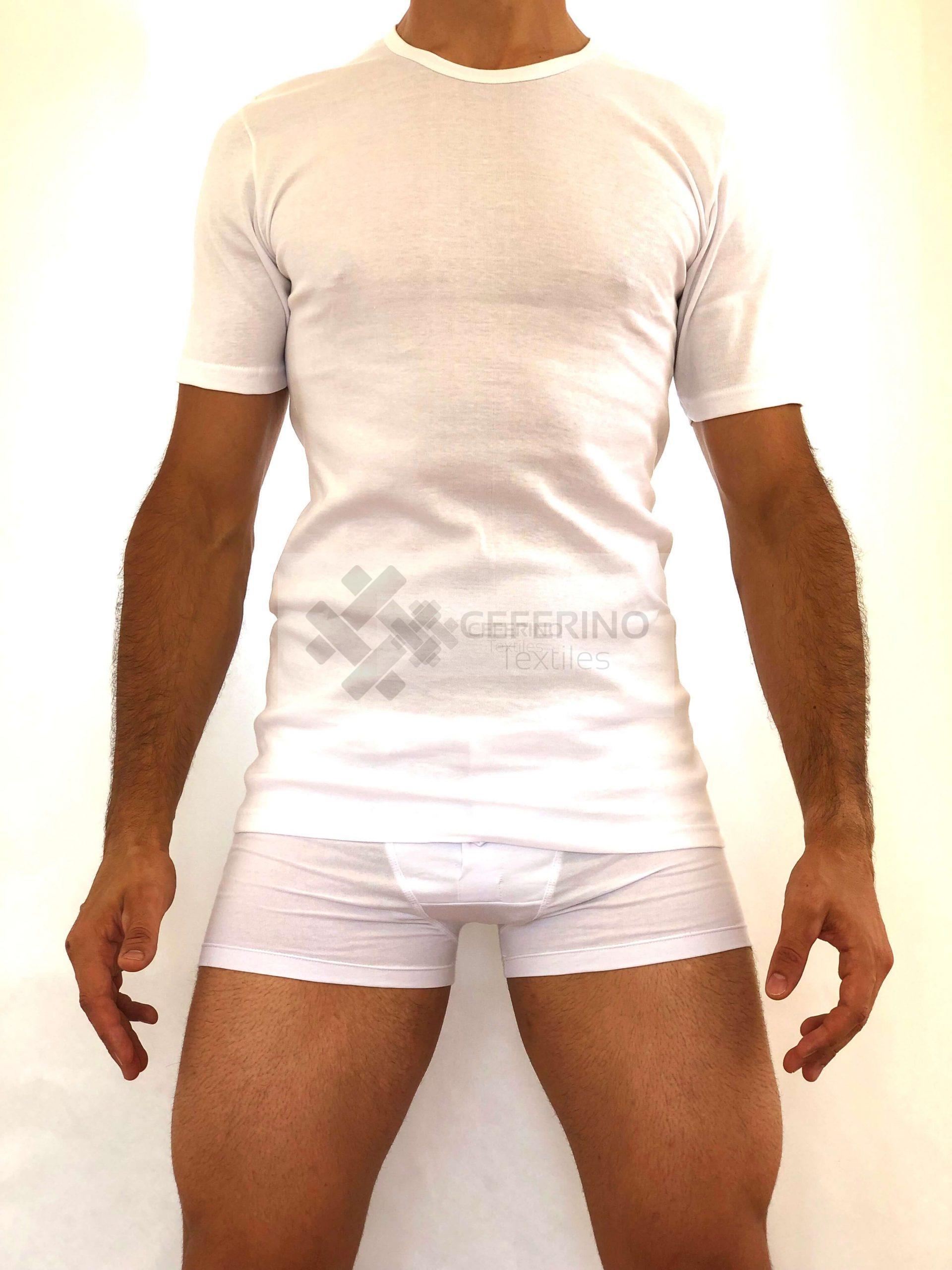 Camiseta interior caballero 100% algodón M/C cuello redondo 48 - 64 Fabio 8551